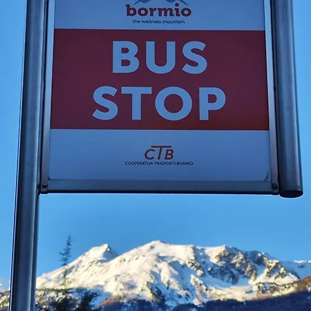 Lejlighed Bormiohakunamatata Centralissimo Box Privato